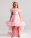 PRINCESS BIRTHDAY PARTY SPECIAL DAY DRESS WITH TAILED CROWN COMBINATION