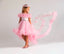 PRINCESS BIRTHDAY PARTY SPECIAL DAY DRESS WITH TAILED CROWN COMBINATION