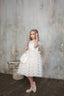 FAIRYTALE LAYERED PRINCESS DRESSES 3 PIECE SET