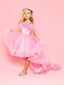 PRINCESS BIRTHDAY PARTY SPECIAL DAY DRESS WITH TAILED CROWN COMBINATION