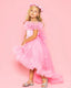 PRINCESS BIRTHDAY PARTY SPECIAL DAY DRESS WITH TAILED CROWN COMBINATION