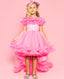 PRINCESS BIRTHDAY SPECIAL DAY DRESS WITH TAILED CROWN COMBINATION