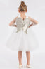 Pink Angel Wings Tutu Dress (Floral Headband Accessory Combination)