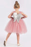 Pink Angel Wings Tutu Dress (Floral Headband Accessory Combination)