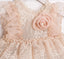 TULLE HEADBAND SET WITH RIBBON LACE COLLAR FLORAL ACCESSORY LACE AND TULLE PUFFY SKIRT STYLE ROMPER FOR BIRTHDAYS CHRISTENINGS AND WEDDINGS