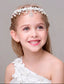 CRYSTAL CROWN HEADBAND SUITABLE FOR PARTIES BIRTHDAY WEDDING FIRST COMMUNION AND HOLIDAY