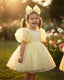 ORGANZA PUFFY ORGANZA BOW CROWN COMBINATION SPECIAL DAY PARTY DRESS