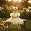 ORGANZA PUFFY ORGANZA BOW CROWN COMBINATION SPECIAL DAY PARTY DRESS