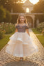 GLITTERY PINK PURPLE GOLD IRIDESCENT FABRIC TULLE SPECIAL OCCASION DRESS WITH CRYSTAL PRINCESS TIARA SET