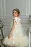 LUXURY ORGANZA BOW WEDDING BIRTHDAY SPECIAL OCCASION DRESS WITH SILVER TIARA – AVAILABLE IN 4 COLORS