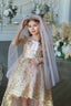 ROYAL EMBROIDERED SPECIAL OCCASION PRINCESS DRESS WITH VEIL & MATCHING ACCESSORY