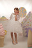 3D BUTTERFLY APPLIQUÉ TULLE FABRIC PUFFY BIRTHDAY WEDDING HOLIDAY SPECIAL OCCASION DRESS