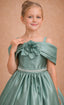 OFF- SHOULDER STRAIGHT NECKLINE FLOWER BIRTHDAY SPECIAL OCCASION WEDDING PRINCESS DRESS 7-11 YEARS