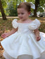 ROSE DETAIL ED SPECIAL OCCASION DRESS