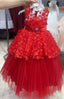 ROYAL BLOSSOM RED PRINCESS DRESS