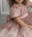 SEQUIN EMBROIDERED POWDER PRINCESS SPECIAL OCCASION DRESS